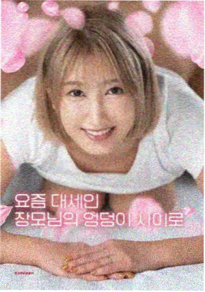 第十二次日落 免费在线视频